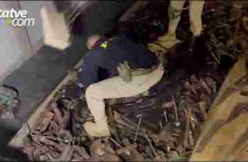 Mais de 600 kg de maconha são apreendidos escondidos em carga de sucatas